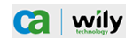 CA Wily Free White Paper